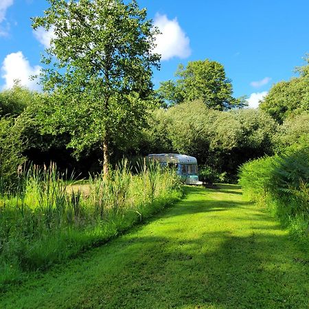 Budget Stay, In Lovely Private Setting With Rustic Charm, Log Burner, Fire Pit, Campers Kitchen & Eco Loo No Bedding Supplied Narberth Esterno foto