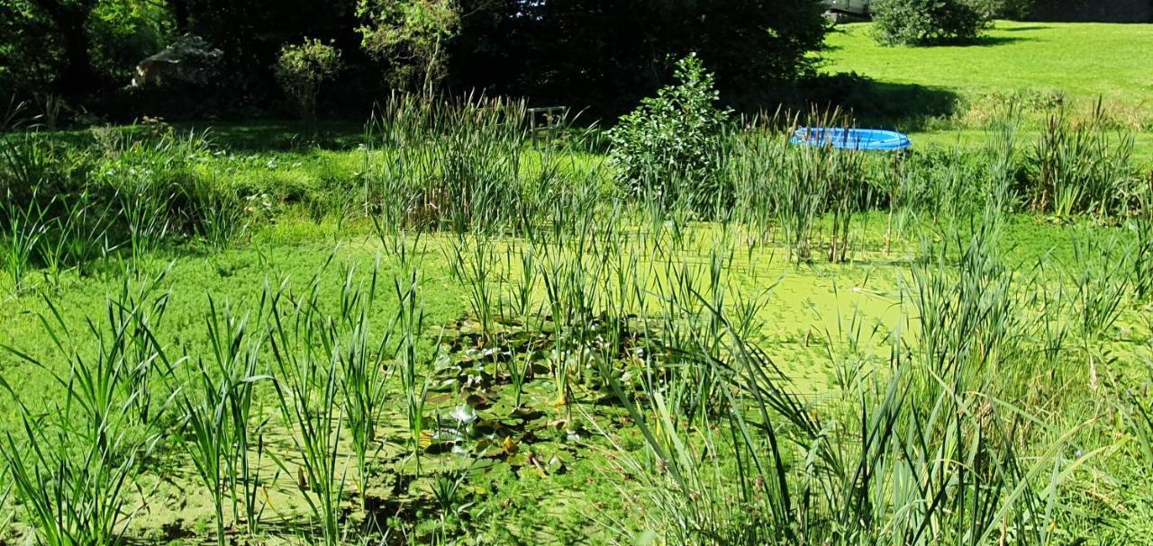 Budget Stay, In Lovely Private Setting With Rustic Charm, Log Burner, Fire Pit, Campers Kitchen & Eco Loo No Bedding Supplied Narberth Esterno foto
