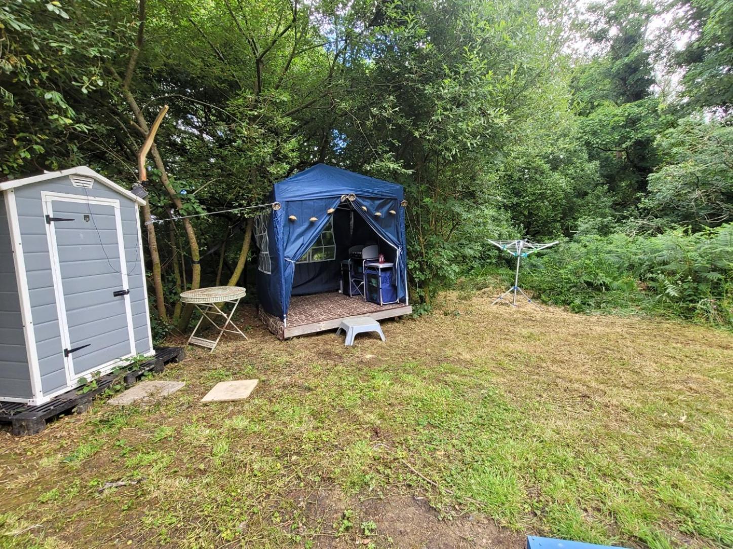 Budget Stay, In Lovely Private Setting With Rustic Charm, Log Burner, Fire Pit, Campers Kitchen & Eco Loo No Bedding Supplied Narberth Esterno foto