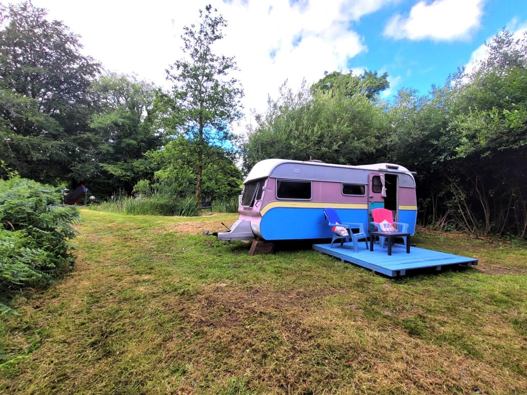 Budget Stay, In Lovely Private Setting With Rustic Charm, Log Burner, Fire Pit, Campers Kitchen & Eco Loo No Bedding Supplied Narberth Esterno foto