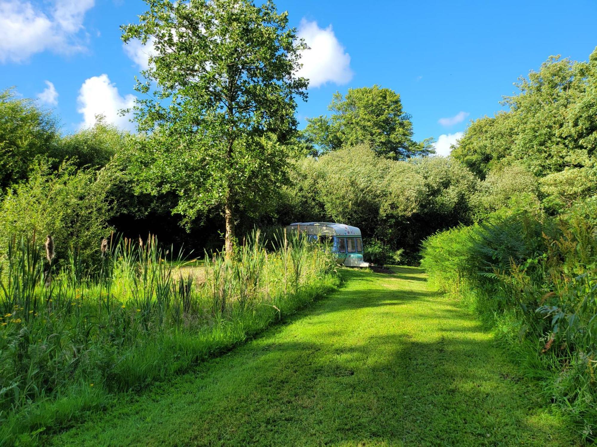 Budget Stay, In Lovely Private Setting With Rustic Charm, Log Burner, Fire Pit, Campers Kitchen & Eco Loo No Bedding Supplied Narberth Esterno foto